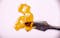 Image Test